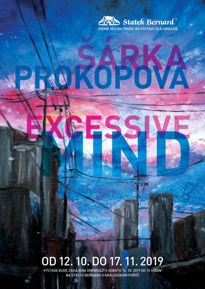 Výstava Excessive Mind autorky Šárky Prokopové